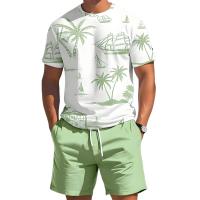 Conjunto Casual de Verano para Hombres Camiseta de Manga Corta y Pantalones Cortos - details 0