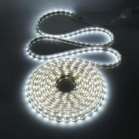 GAHADA Tira de LED Flexible 220V 60LEDs/m Iluminación y Decoración Impermeable con Enchufe de Interruptor EU - details 7