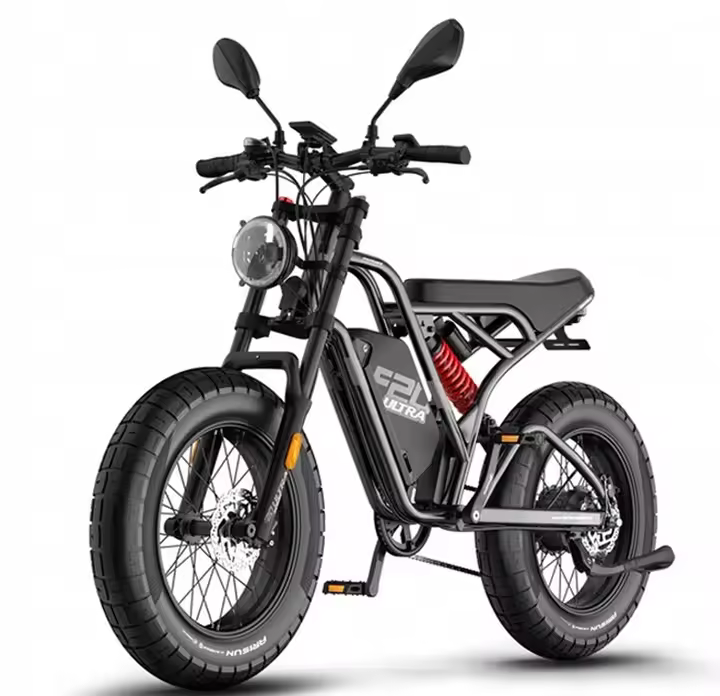 Fafrees F20 ULTRA 1200W 48V25Ah Quemador de aceite para bicicletas eléctricas de montaña gris - 1