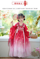 Hanfu primavera y otoño vestido elegante antiguo súper inmortal para niñas pequeñas falda de bata de estilo chino Tang para niños - details 4
