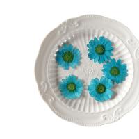 Juego de 12 Uds. De flores secas naturales de 2,5-4cm para rellenos de funda de teléfono DIY, flor de crisantemo de cristal prensado, decoraciones artísticas para uñas - details 4
