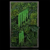 Musgo eterno, manualidades DIY, hierba, 20/40/100g, plantas verdes artificiales, decoración del hogar, habitación, jardín, mini país, hierba falsa - details 19