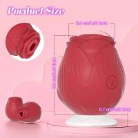 Leten Vibador de Rosa Silicona en Forma de Sucio para Mujeres Estimulador de Clítoris de 10 Frecuencias - details 3