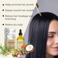 El aceite esencial de romero y jengibre reafirmante hidrata el cabello seco y furioso, espesa, previene la caída, los sólidos y oculta el cabello - details 7
