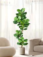 Árbol de Figo Artificial Grande 70-135cm con Ramas de Plantas de Goma Falsa - details 0