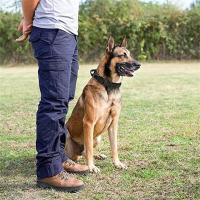 Juego de correas tácticas duraderas, collar militar estable para mascotas, correa para perros medianos y grandes, accesorios de entrenamiento para pastor alemán - details 1