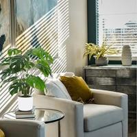 Planta Artificial Monstera en Maceta