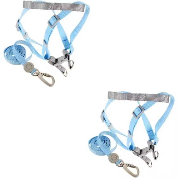 2 Juegos De Arnés ajustables para Perros, Arnés Y Correa para Perros, Arnés para Perros pequeños - 1
