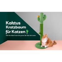 猫抓板、猫用仙人掌、仙人掌