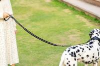 Correa elástica táctica de alta resistencia para perros grandes, correas reflectantes para mascotas con cinturón de seguridad para coche, sin tirones, absorción de impactos - details 2