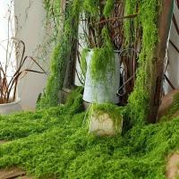 50G simulación DIY planta decoración verde PAISE musgo césped Artificial - details 10
