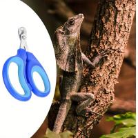 Cortauñas de acero inoxidable para mascotas para reptiles, pájaros y animales pequeños: mangos azules ergonómicos, bordes afilados para cortar metal, herramienta segura y cómoda para el cuidado de uñas para dragones barbudos, gatos, cobayas, perros, conej - details 6