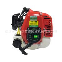 Motor de gasolina de dos tiempos 1E32FL, 0,75 Kw, para cortasetos, desbrozadora, tijeras de podar, cortacésped, herramientas de jardinería - details 4