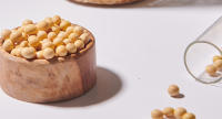 soybean ferment extract