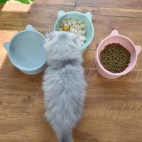 Cuenco Alto para Perros y Gatos Protector de Cuello de 45° Comida y Agua - details 2