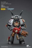 JOYTOY 40k 1/18 figuras de acción Anime 12cm caballeros grises Interceptor Strike Squad juguetes de modelos de colección - details 8