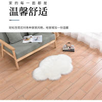 Alfombra de Piel Sintética 60x90cm Forma de Nube de Moda Alfombra de Área Suave y Felpudita para Sala de Estar Habitación de Niños Sofá Cubierta de Asiento Material de Poliéster - details 2