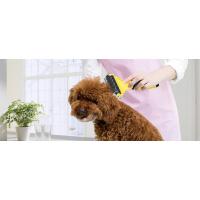Cepillo/Peine/Rastrillo de Pelo Muerto para Perro y Gato,Reduce Eficazmente la Caída del Cabello hasta un 90% - details 1