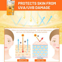 Crema Protector Solar SPF 50 Impermeable, Anti-sudor, Blanqueador, Hidratante para Cara y Cuerpo - details 13