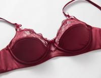 Conjunto De Sujetador Y Bragas Para Mujer En Talla Grande Con Borde De Encaje Brillante Sexy Muy Ajustado Con Anillo De Acero Suave Soporte Para Pechos Grandes - details 9
