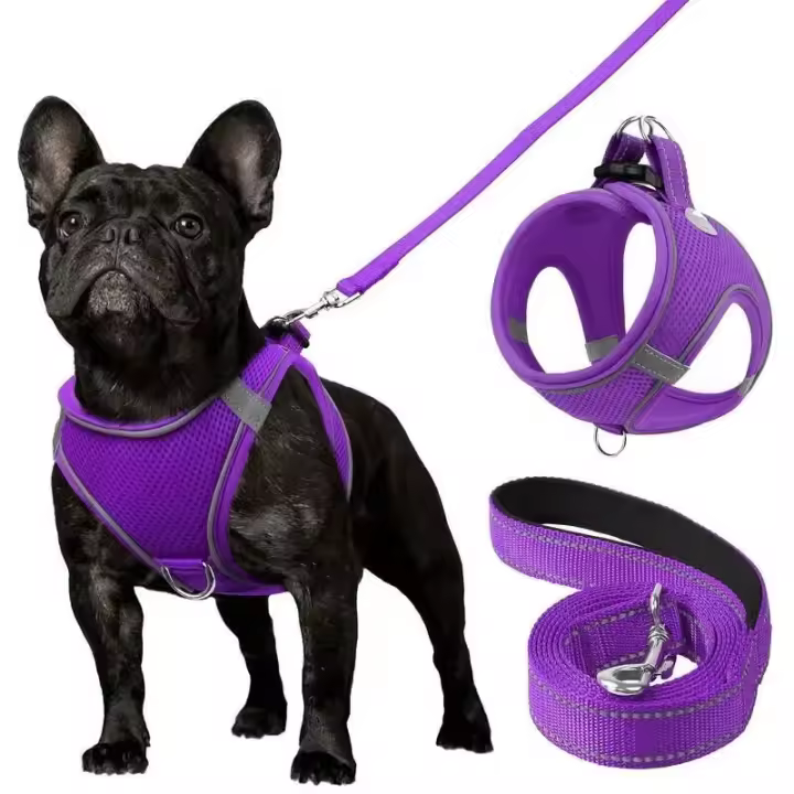 Correa de Mango Suave y Transpirable con Cinturón de Nylon Duradero Conjunto de Arneses para Mascotas para Maximo Confort - 1