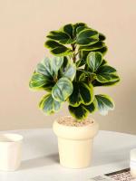 Pequeña Planta Hoya Artificial en Forma de Corazón Falsas Piñas Jugosas - details 5