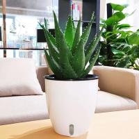 Materiales innovadores fáciles de mantener y autoirrigación orgánica portátil ETA - details 0