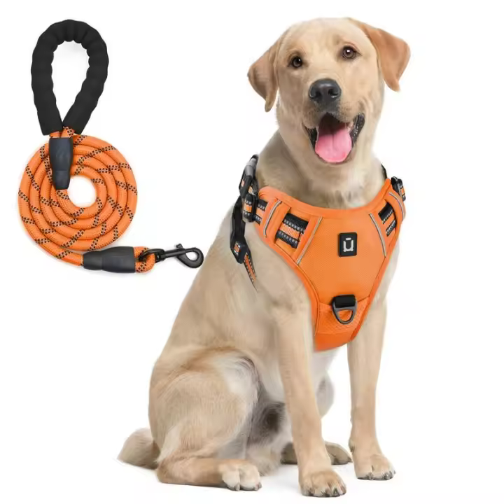 Combo de Perro y Correa, arnés de Chaleco no extensible a prueba de escape, de 5 pies Correa Con, ARN - 1