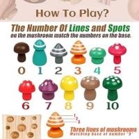 Montessori Education Learning Toys
