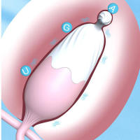 Vibrador Inalámbrico Estimulador de Placer para Mujer Huevo de Amor Caliente Juguetes para Adultos - details 6