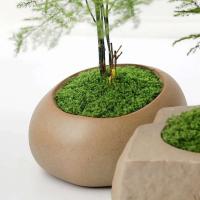 Mini Grass Country, musgo verde Artificial eterno, manualidades caseras, sala de estar, jardín, decoración de plantas, 30/50/100g - details 2
