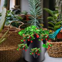 Cultivo de bolsas no tejidas de fresa de 6 lados, ETA para cultivo de plantas en jardín - details 1