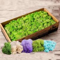 Plantas verdes artificiales de 10/50g, musgo eterno, manualidades DIY, césped, jardín, decoración del hogar, mini país, hierba, plantas falsas - details 5