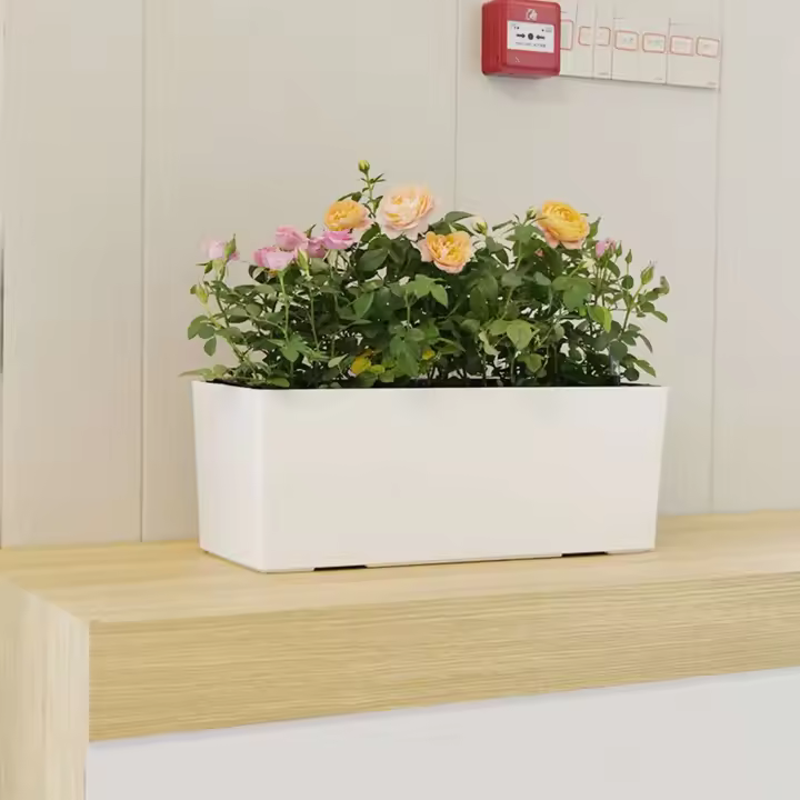 Riego automático ETA con indicador de nivel de agua para contenedores rectangulares grandes para plantar bonsái en hogares, jardines y - 1