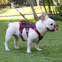 Correa reflectante de nailon para el pecho de cachorro, arnés de seguridad para perro Oxford, transpirable, ajustable, a prueba de explosiones, chaleco para caminar - details 4