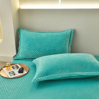 Bonenjoy-funda de almohada de terciopelo cálido, Fundas de cojín de Color sólido, 2 piezas, rectangular, 48x74cm - details 8