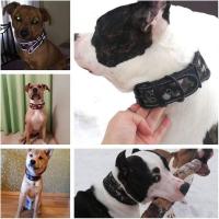 nailon reflectante perro, ustable, cómodo, acolchado, collares anchos mascotas para perros medianos y grandes, Collar de pastor - details 5
