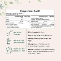 Polvo de peptíbios de colágeno 900G - details 2