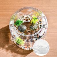 Macetero hidropónico, jarrón redondo transparente para pecera, tanque de tortuga de escritorio irrompible de plástico con cubierta, pecera dorada para el hogar - details 1
