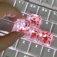 4 Uds. De hojas translúcidas epoxi de alta calidad, accesorios universales para teclado cruzado de papel seco - details 1
