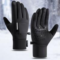 Guantes de motorista para hombre, polares de peluche resistentes a la abrasión, impermeables, para senderismo, 1 par - details 0