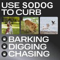 Repelente de Mascotas Ultrasónico de Alta Potencia Dispositivo Anti-Bark con Carga USB - details 5