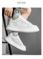 Zapatos zapatos de hombre 2025 verano nueva marca de moda transpirable zapatos deportivos suela gruesa aumentando casual pequeño blanco zapatos de junta - details 7