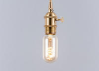Bombilla incandescente regulable de 220V, 4W, 40W, T45, E27, bombilla de filamento LED de ardilla, tipo bayoneta, Bombilla Edison Vintage, lámpara Retro - details 5