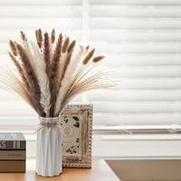 Pampas Secas Decoracion