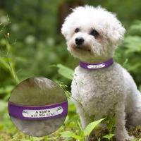 perro personalizado cuero PU, Collar de cachorro personalizado, collares mascotas grabados gratis para perros pequeños, medianos - details 15