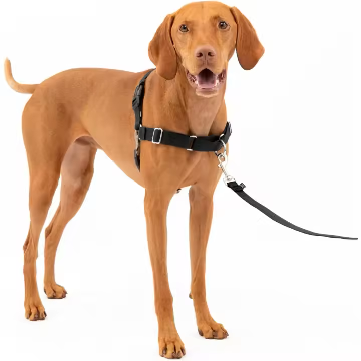 Arnés para perros Premier Easy Walk, negro-beige, talla M - 1