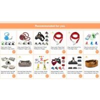 Productos mascotas, perro, reflectante nailon cachorro, cuerda gato, Chihuahua, conjunto correa Collar mascota, correas para - details 0