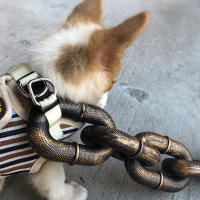 Cadena de simulación de plástico para perros y mascotas, cuerda de rastreo de mascotas, accesorios de Halloween, ligera, 1,5/3m - details 1