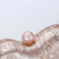 Señoras europeo y americano nuevo bolso de palmo oblicuo bolso Doudou bolso de acrílico moda boda cena bolso de embrague - details 4